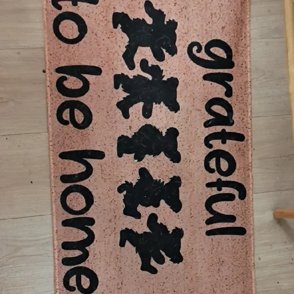 Grateful Dead Rug Home Accent Rug -